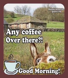 there is a donkey looking over the top of a fence with coffee in it's mouth