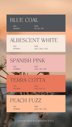 the color scheme for blue coal is shown in three different colors and font styles, including pink