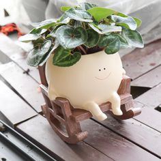 a potted plant sitting on top of a wooden chair with leaves growing out of it