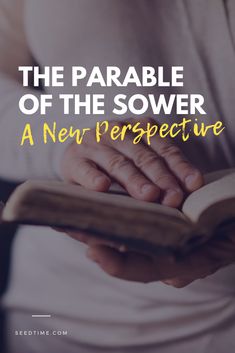 the parable of the sower is a new perspective we can use to read