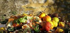 a pile of fruit sitting on top of leaves next to a stone wall with peeling paint