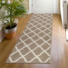 a door way with a potted plant next to it and a rug on the floor