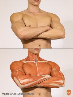 two pictures of the same man's torso and chest, both showing different muscles