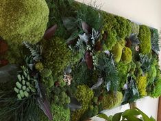 a moss covered wall hanging on the side of a building