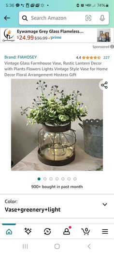 a vase filled with flowers sitting on top of a table next to a potted plant