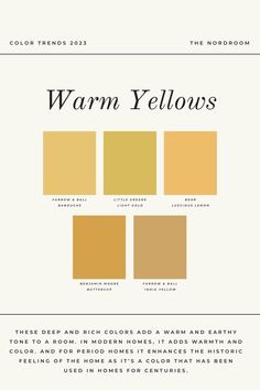 the color scheme for warm yellows is shown in this graphic style, which includes different shades