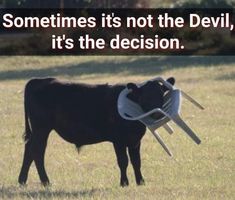 a black cow standing on top of a grass covered field next to a sign that says sometimes it's not the devil, it's the decision