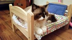 a cat laying on top of a wooden bed