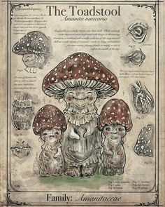 the toadstool family is depicted in an old - fashioned book with mushrooms and other things