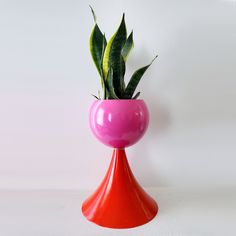 a pink vase with a green plant in it