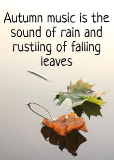 autumn music is the sound of rain and rusting of falling leaves