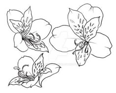 three flowers are shown in black and white