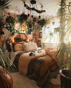 a cat laying on top of a bed in a room filled with potted plants