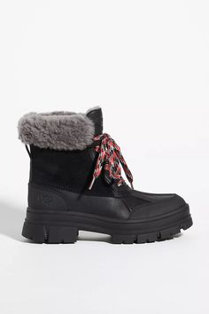 UGG Ashton Addie Winter Boots | Anthropologie Ugg Sunburst Tall, Gold Ankle Boots, Cozy Boots, Ugg Classic Mini, Black Suede Ankle Boots, Vegan Boots, Velvet Heels, Lace Sneakers, Chelsea Ankle Boots