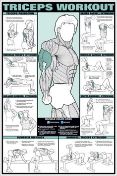 a poster with instructions on how to do the triceps workout