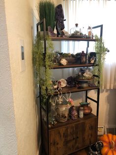 a shelf filled with pots and plants on top of a wooden floor next to a window