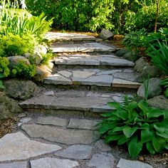 a stone path surrounded by lush green plants