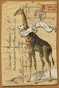 an old postcard with a giraffe on it's back and some writing on the front