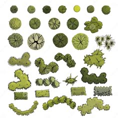 the top view of trees and plants in different shapes, sizes and colors on a white background