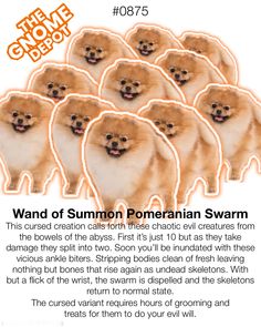 an ad for the chowie show featuring pomeranians in orange and white with caption below