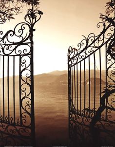 an iron gate with two trees on the other side and mountains in the back ground