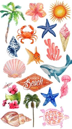 watercolor painting of different types of sea animals and seashells on a white background