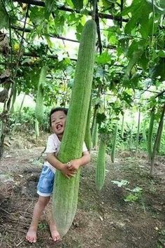 a young boy holding onto a giant cucumber