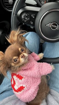 a small dog wearing a pink sweater sitting in the driver's seat of a car