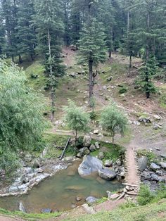 there is a small stream in the middle of the woods with rocks and trees around it