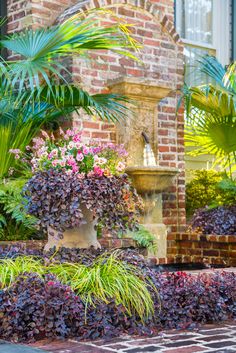 an outdoor garden with various plants and flowers