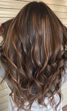 "Warm Tones for Brunettes: Homecoming Hair Color Ideas" Copper And Blonde Balayage On Brown Hair, Brown Hair Colour Highlight, Global Hair Color With Balayage, Caramel Global Hair Color, Dark Brown Global Hair Colour, Global Hair Color Ideas, Biscoff Hair Colour, Hair Colour Copper, Global Highlights Hair Colour