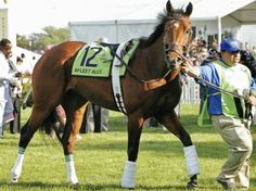 a man leading a brown horse across a lush green field with people watching from the stands