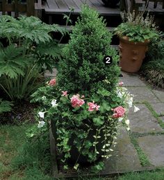 a potted plant sitting on top of a stone walkway next to a wooden deck