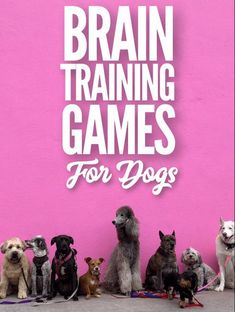 a group of dogs sitting in front of a pink wall with the words brain training games for dogs