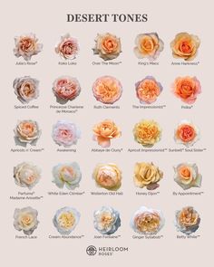 the different types of flowers are shown in this poster, which shows them all different colors