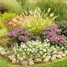 a garden with flowers and rocks in the grass