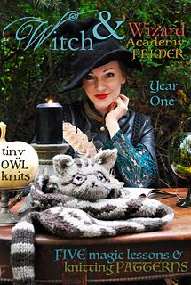 the cover of witch & wizard project magazine featuring a woman with a cat on her lap