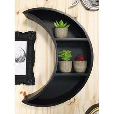 a shelf with some succulents in it