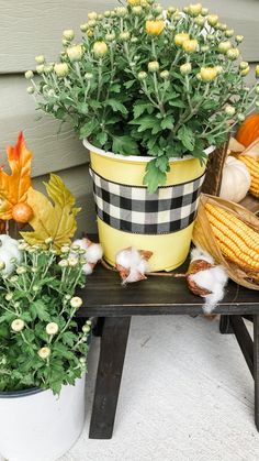 some plants and corn are sitting on a table