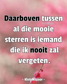 a pink flower with the quote darboven tussen al die mooie stern is