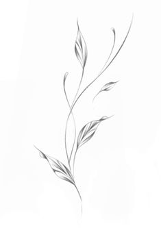 Three Leaves Tattoo, Large Leaf Tattoo, Cala Lillies Tattoo, Grass Tattoo Design, Xray Flower Tattoo, Vines Tattoo Design, Leaves Tattoo Design, Blatt Tattoos, Word Tattoo Designs