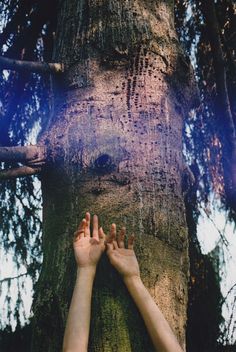 two hands reaching up to the top of a tree