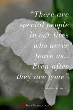 there are special people in our lives who never leave us