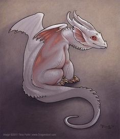 a white and red dragon sitting on top of a gray ground with its wings spread