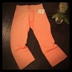 Nwt Free People Coral Sweatpants. Size: Xs. *Last Picture Is Only To Show Fit... The Ones For Sale Are Not The Same Color. :) Free People Pants, Track Pants, Pant Jumpsuit, Free People, Sweatpants, Pants For Women, Coral, Track, For Sale