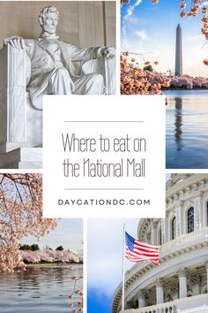 the washington monument and cherry blossom trees with text overlay where to eat on the national mall