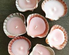 six pink candles sitting in shells on a table