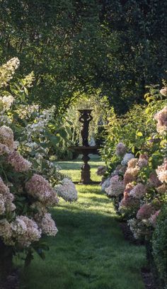 the garden is full of flowers and trees