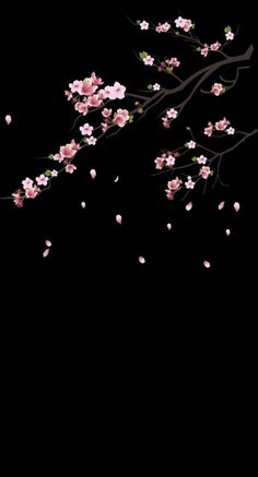 a branch with pink flowers on it against a black background