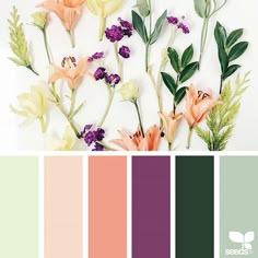 the color palette is green, pink, and purple with some flowers in each section